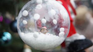 Choinka w parku już ozdobiona! 46 choinko052