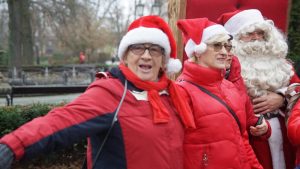 Choinka w parku już ozdobiona! 49 choinko055