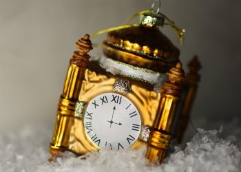 Zdjęcie ilustracyjne/Fot. Pixabay