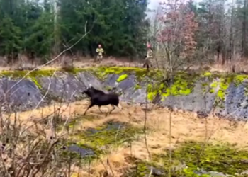 Fot. FB: Ochotnicza Straż Pożarna w Prostkach