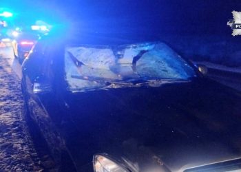 Przejechała przez środek ronda i wpadła do rowu 5 zdj. KPP w Piszu