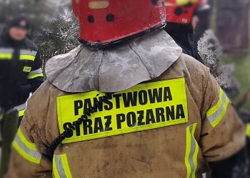 Zdjęcie ilustracyjne