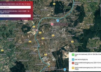 źródło: UM Suwałki