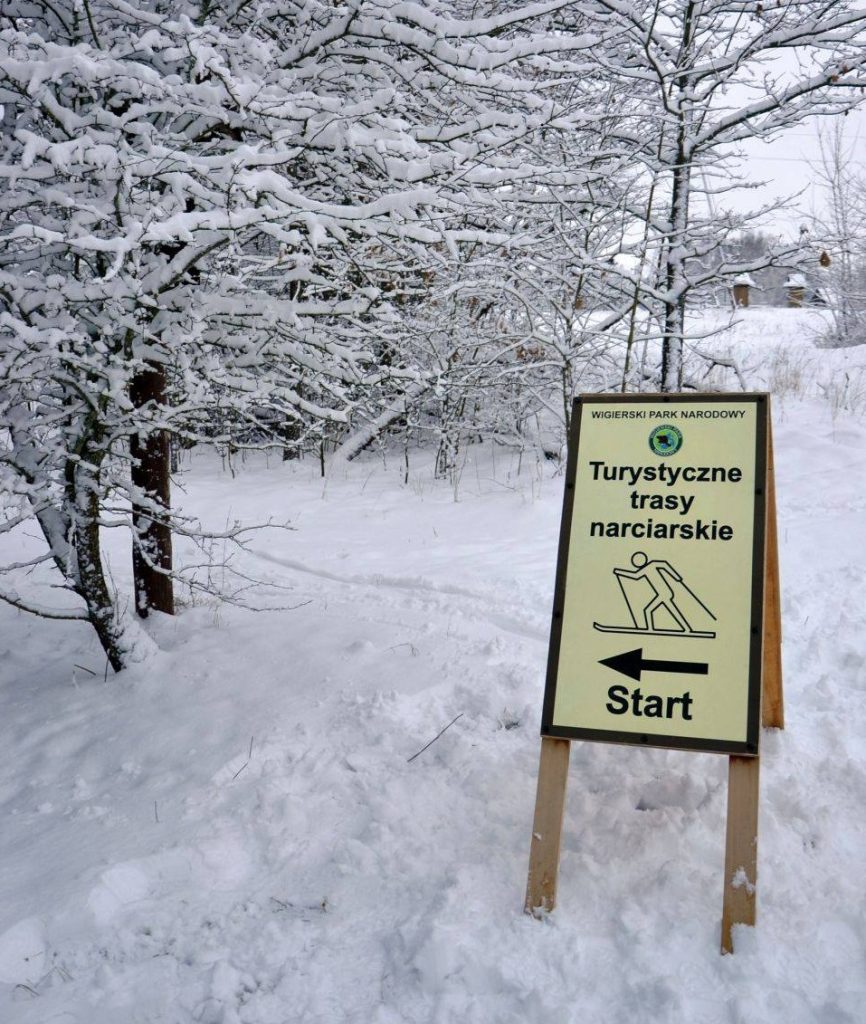 611061406 1342190317951592 9010671857642641130 n