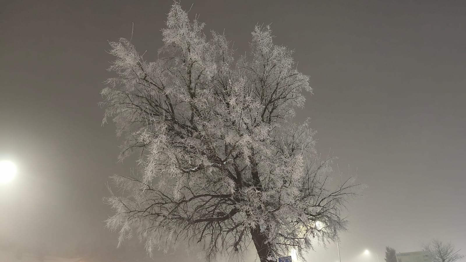 Bardzo zła jakość powietrza w Suwałkach 9 WhatsApp Image 2026 01 07 at 20.48.08 2