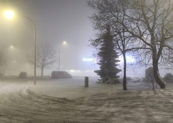 WhatsApp Image 2026 01 07 at 20.48.09 2