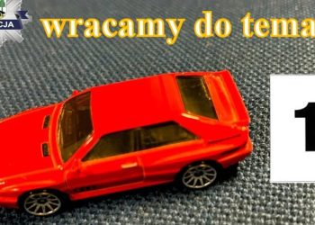 Za kradzież rozbójniczą zabawki pójdzie do więzienia na dwa lata 3 Fot. FB: KPP Pisz