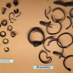 c5df1946 2b2a 442d be55 ffb200241127