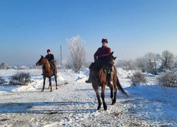 e52c1901 60ec 4e5e 8cdd c36b6728d5a9