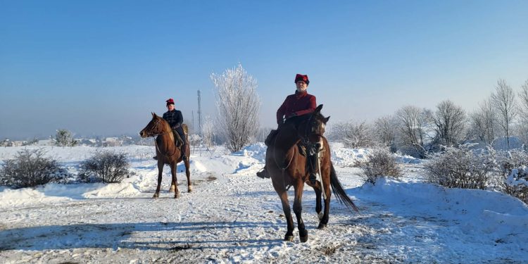 e52c1901 60ec 4e5e 8cdd c36b6728d5a9