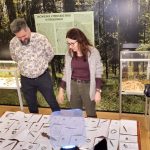 f3a31317 fc40 433d 94e6 b281bf384935