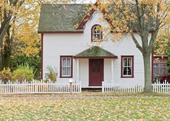 pexels scottwebb 1029599