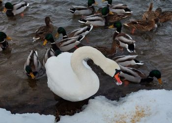 Fot. Archiwum prywatne