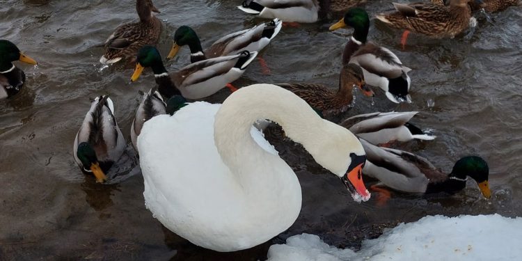 Fot. Archiwum prywatne