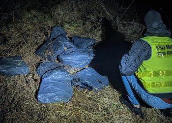 Po nielegalne papierosy ukryte w zaroślach przyjechała 55-latka 6 zdj. W-MOSG