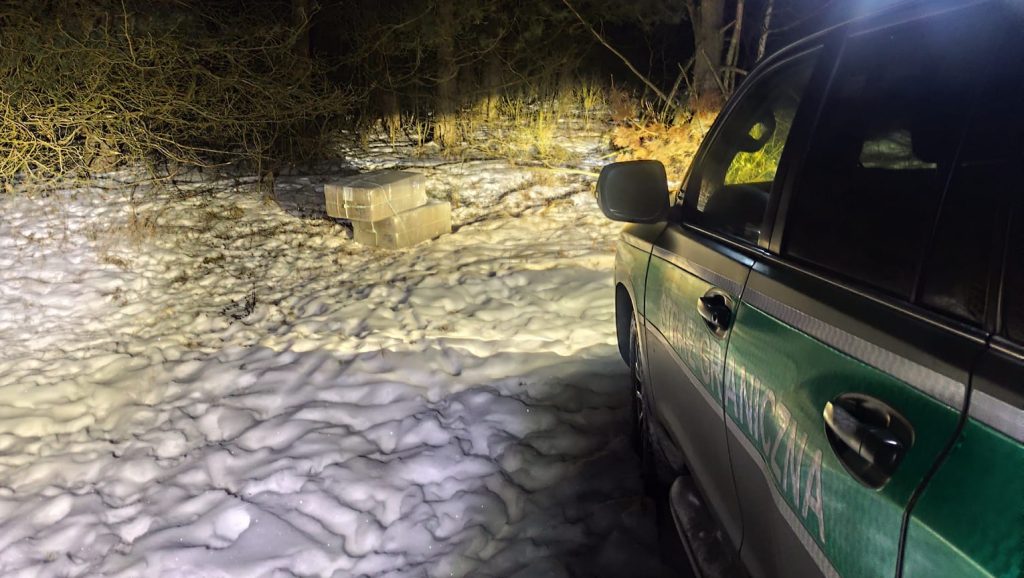 15 339343 e1770364908538