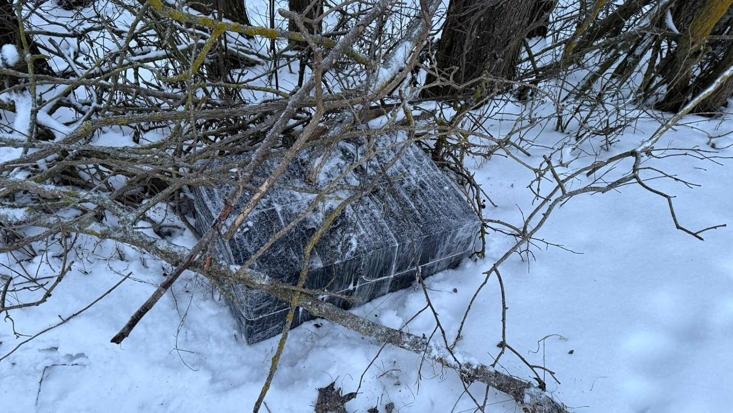 Przemyt z Białorusi przy użyciu balonów. Osiem osób w rękach Straży Granicznej 4 15 339767 e1770976942641