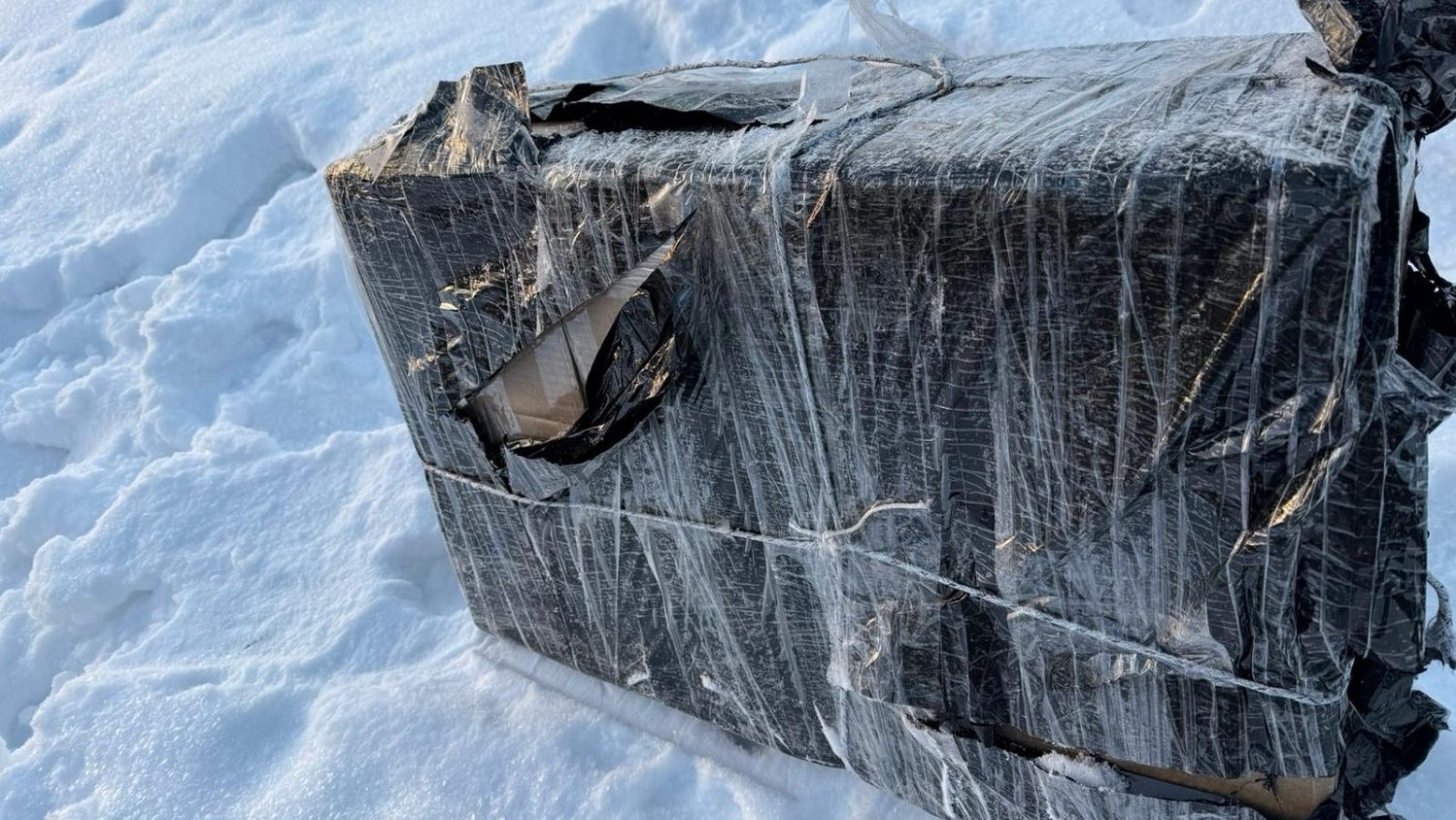 Przemyt z Białorusi przy użyciu balonów. Osiem osób w rękach Straży Granicznej 5 15 339768 e1770976960439