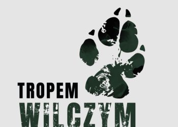 630118228 122177768786433344 2363759018996393137 n