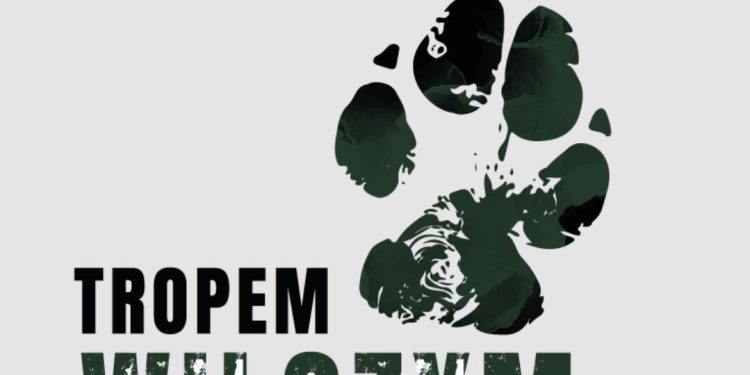 630118228 122177768786433344 2363759018996393137 n