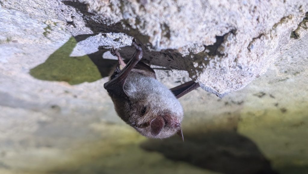 641435812 1236768321895213 6569576763021522190 n e1771934298222