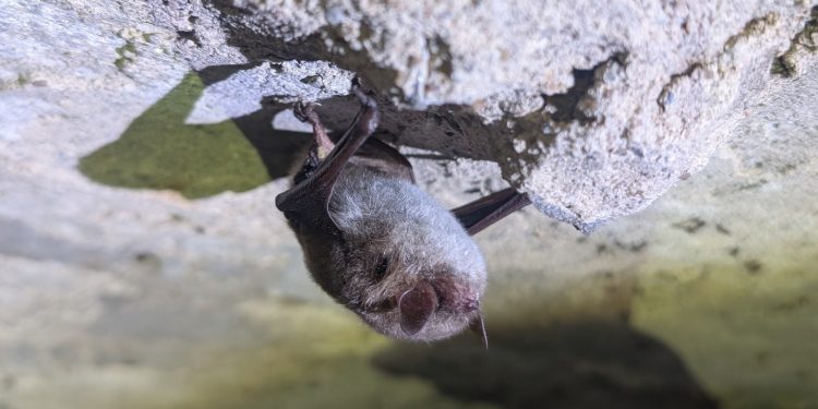 źródło; Suwalski Park Krajobrazowy