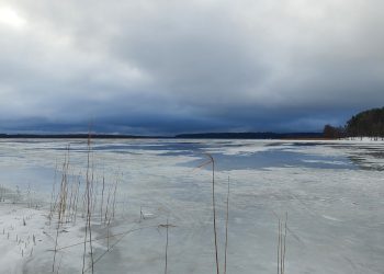 Źródło: WPN fot. A. Januszewicz