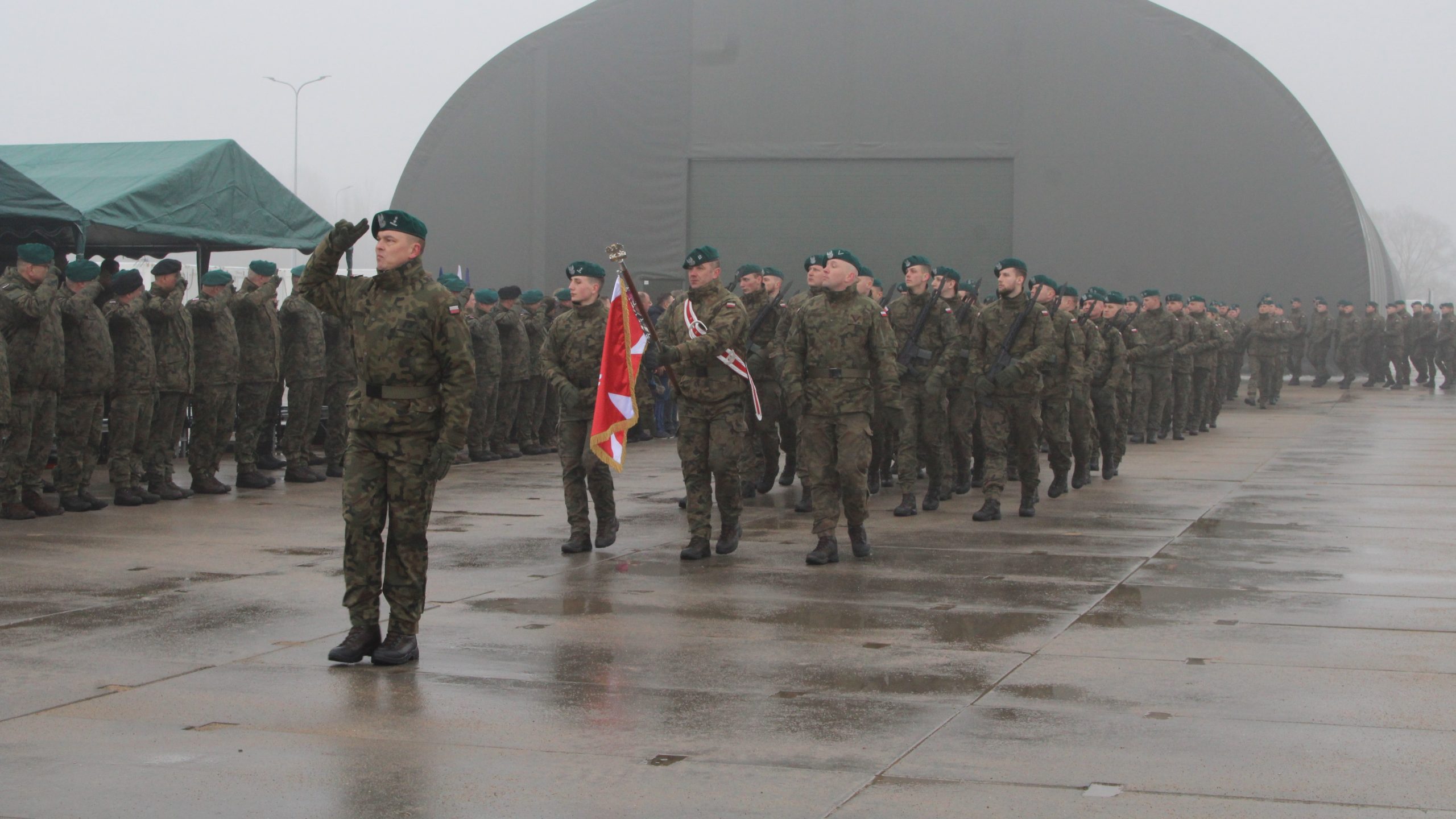 IMG 4329 crop 1 scaled