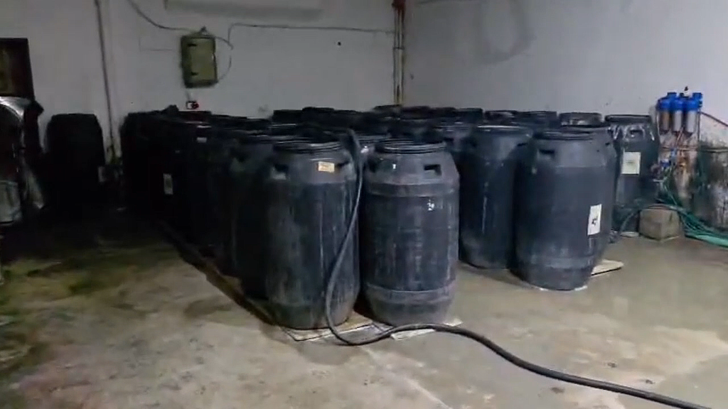 Image1 20260218092853