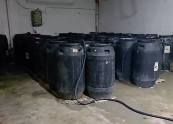 Image1 20260218092853