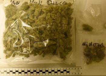 Wpadł narkotykowy recydywista 24 Fot. KPP Pisz