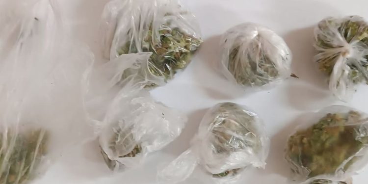 Skąd te narkotyki? Ze spaceru- zapewniali mężczyźni 1 narki na str