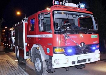 Płonął dom. W środku był mężczyzna i dziewięć psów 5 Zdjęcie ilustracyjne