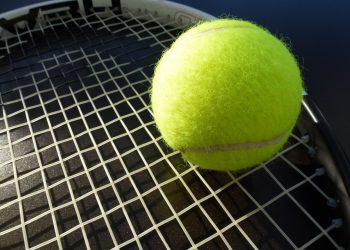 Zdjęcie ilustracyjne/Fot. Pixabay