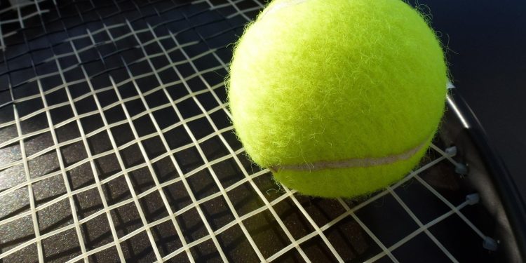 Zdjęcie ilustracyjne/Fot. Pixabay