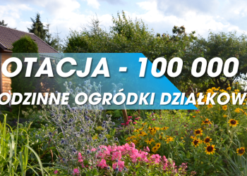 źródło: UM Suwałki