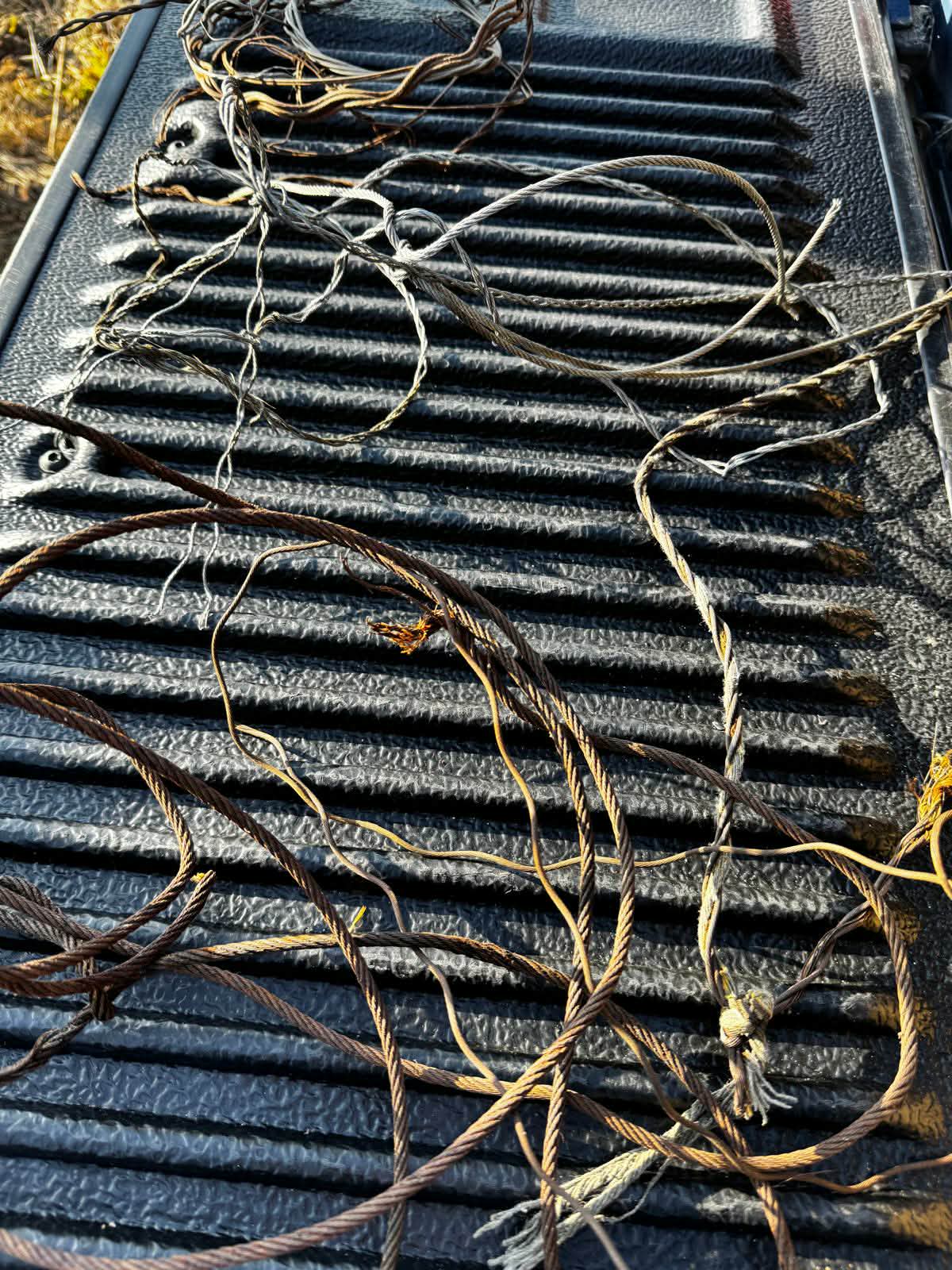 Myśliwi usuwali wnyki 3 4f9abc86 d4eb 4835 89fd 73ec2addd1b5