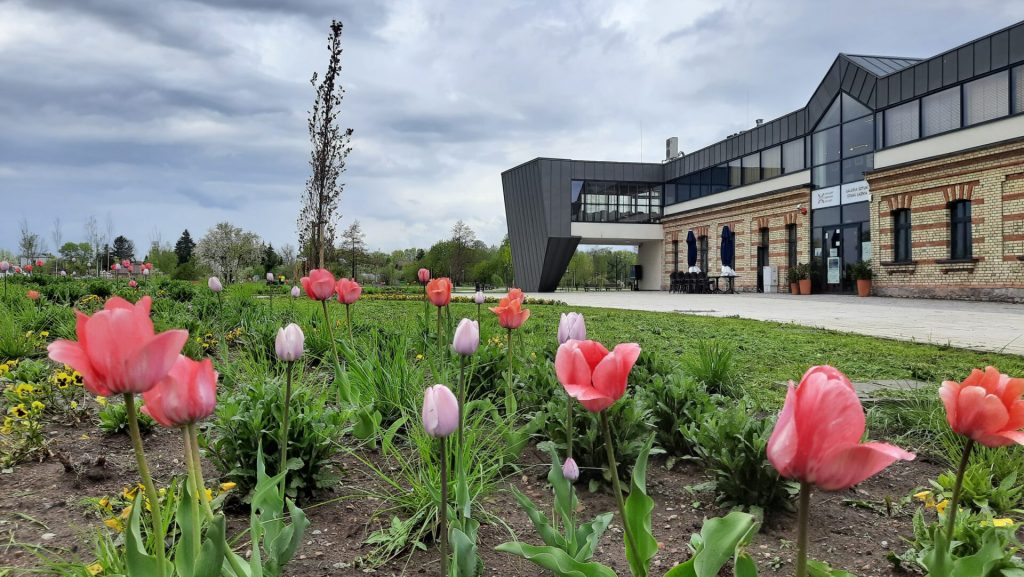 Ponad 34 tysiące kwiatów ozdobi Suwałki w tym roku 5 648222157 1380994344200722 4372089932945109061 n e1773042400716