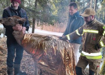 Fot. OSP KSRG Gruszki