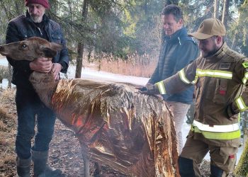 źródło: OSP KSRG Gruszki