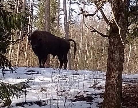 651037084 122171309714785264 4414377737416188320 n