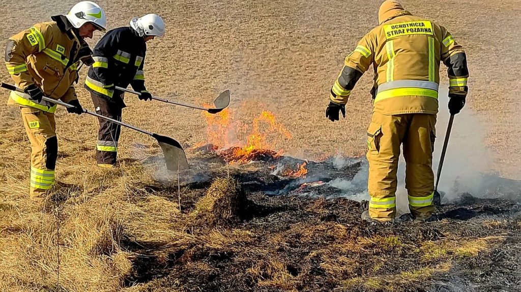 654276007 945395001216511 1532498593307178028 n e1773742916338