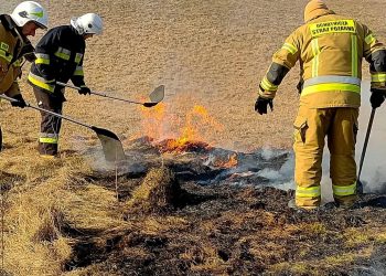 źródło OSP Nowa Wieś