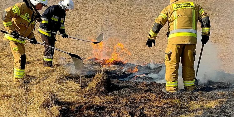 źródło OSP Nowa Wieś