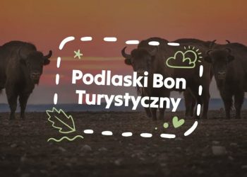 Bony rozeszły się w ciągu dwóch minut 4 UMWP