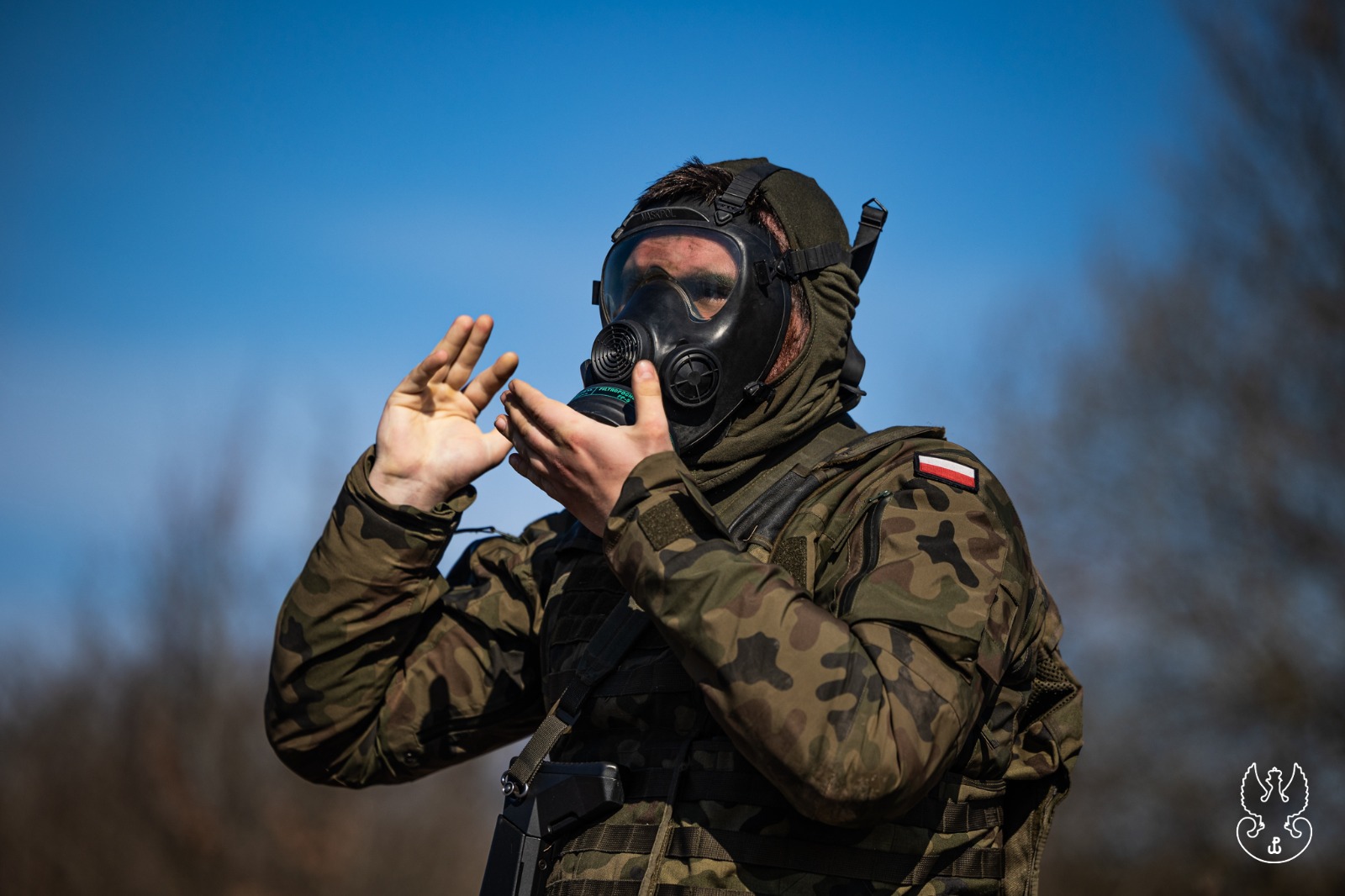 94b389f6 51d5 41b3 8f95 df2c7566c271