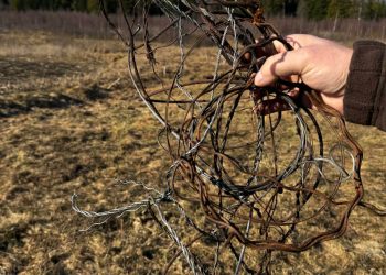 9d89fe5b 34a0 444a aade 833a54b7e7c0