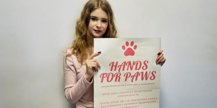 Hands for Paws - zbiórka dla schroniskowych zwierząt 1 Hands for Paws