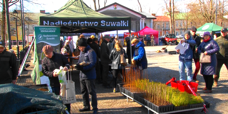 Obchody "Święta Lasu" w Suwałkach 1 Image1 1