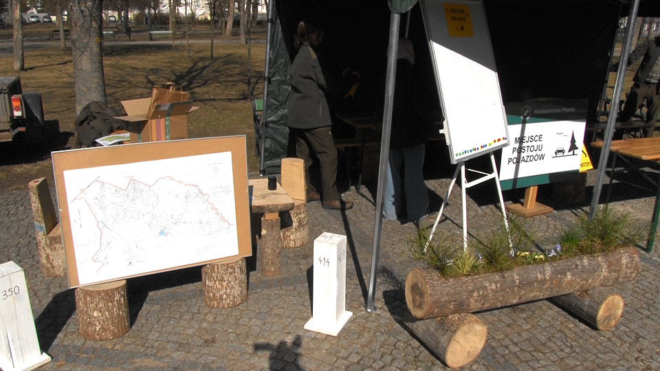 Obchody "Święta Lasu" w Suwałkach 12 Image10 1